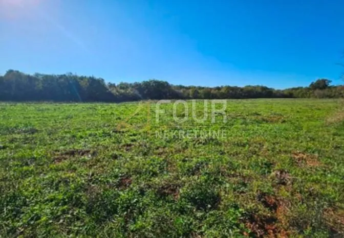 istra, valtura, poljoprivredno zemljište, 39.659m2 - slika 2