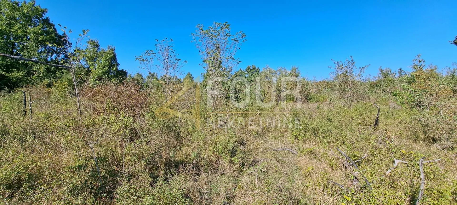 istra, poreč - okolica, poljoprivredno zemljište, 27.086m2 - slika 3