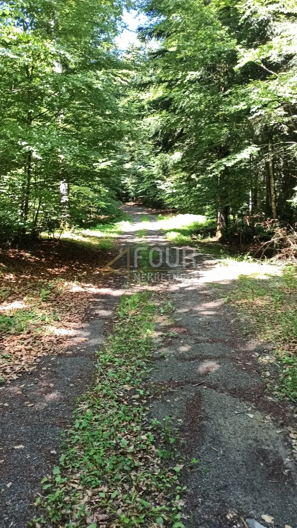 gorski kotar, vrbovsko - okolica, zemljište 17.835m2 - slika 11