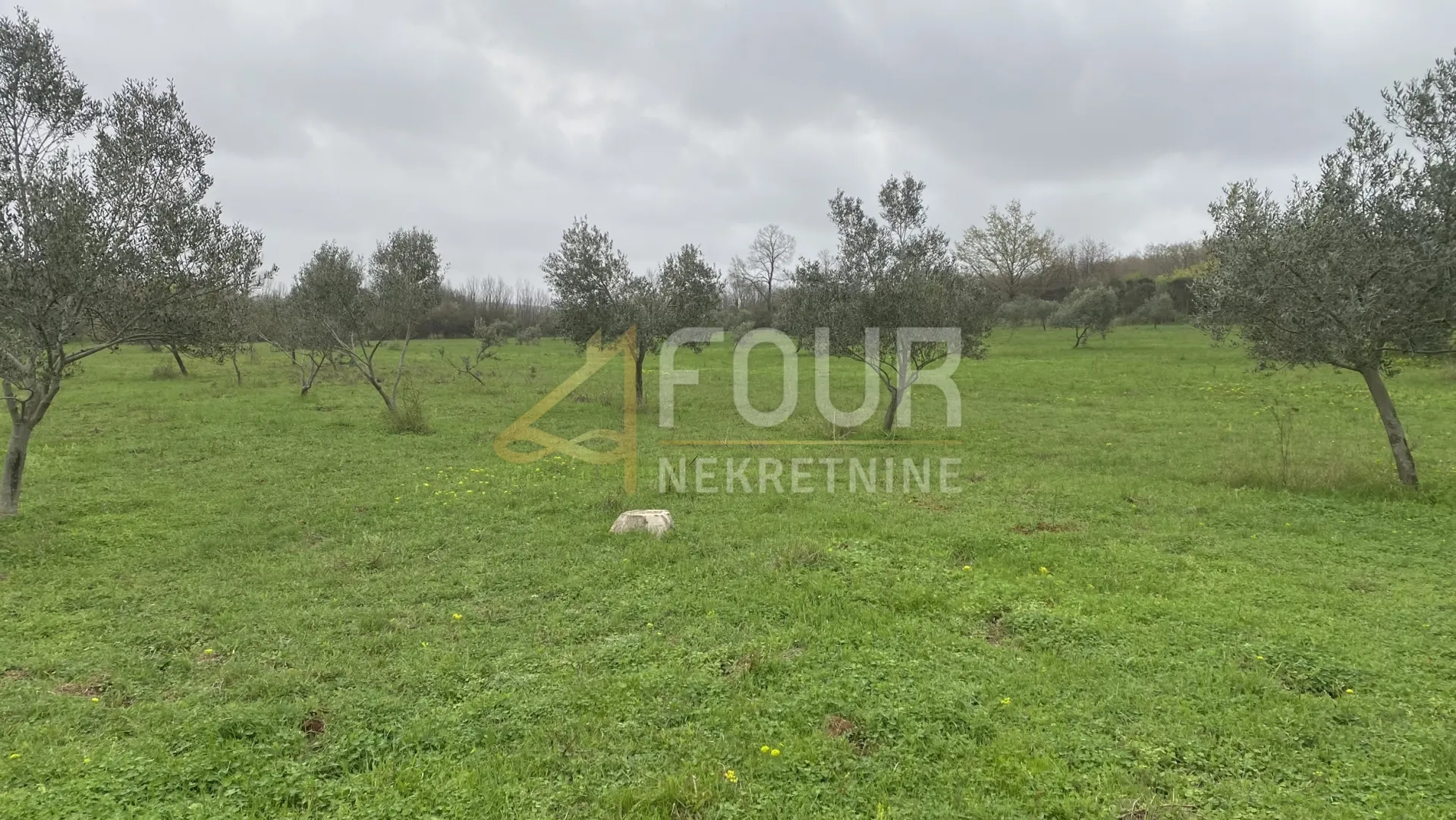 istra, kanfanar, poljoprivredno zemljište, 13.301m2 - slika 6