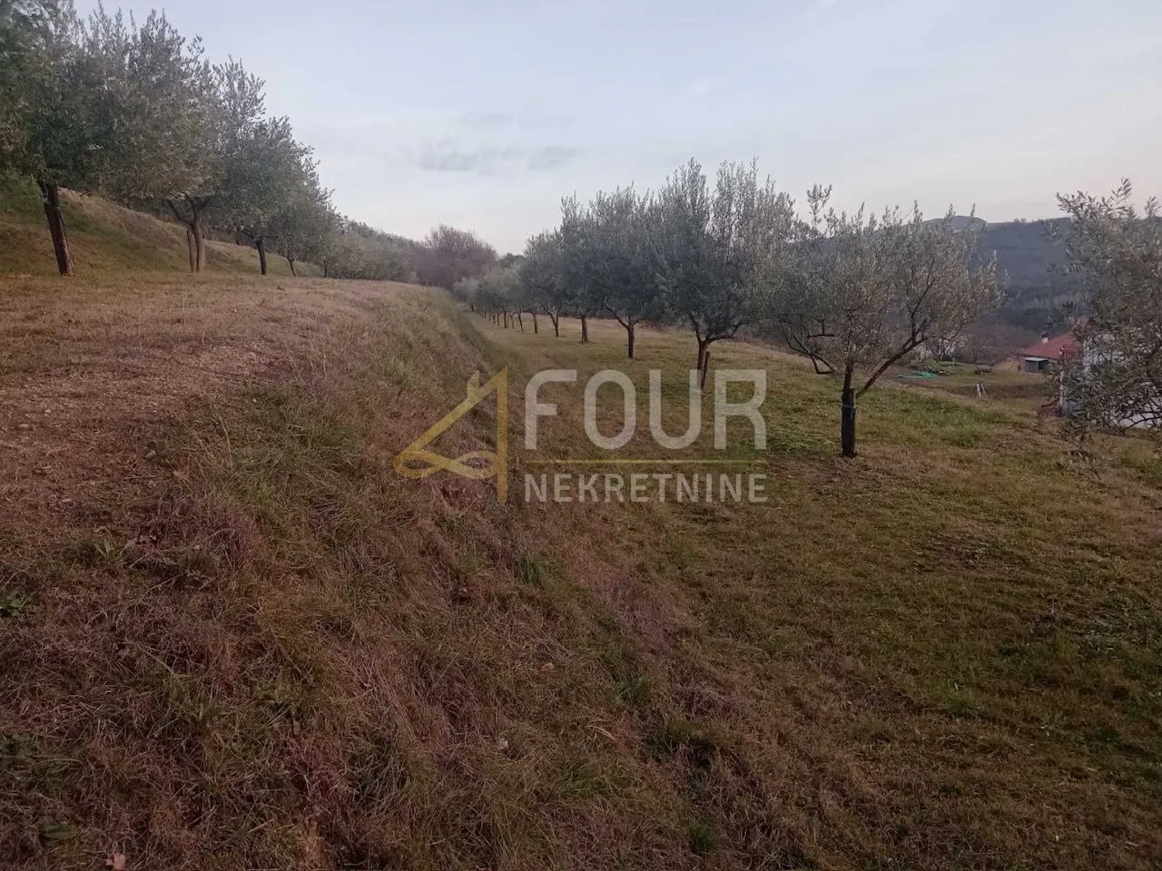 istra, buzet - okolica, građevinsko zemljište 2.744m2 - slika 10