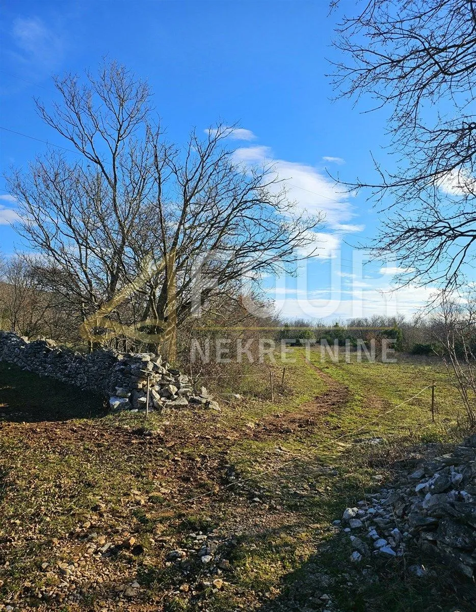 istra, raša, poljoprivredno zemljište 3.669m2 - slika 3