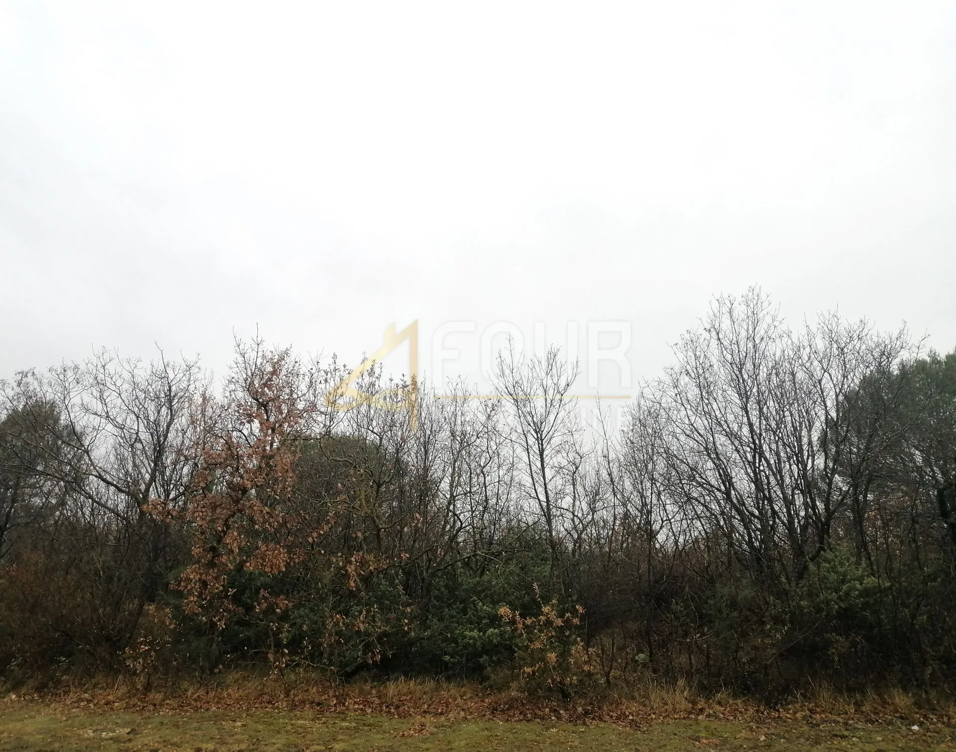 istra, vodnjan - okolica, poljoprivredno zemljište, 5.759m2 - slika 2