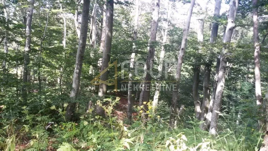 škrljevo, poljoprivredno zemljište 29.685m2 - slika 4
