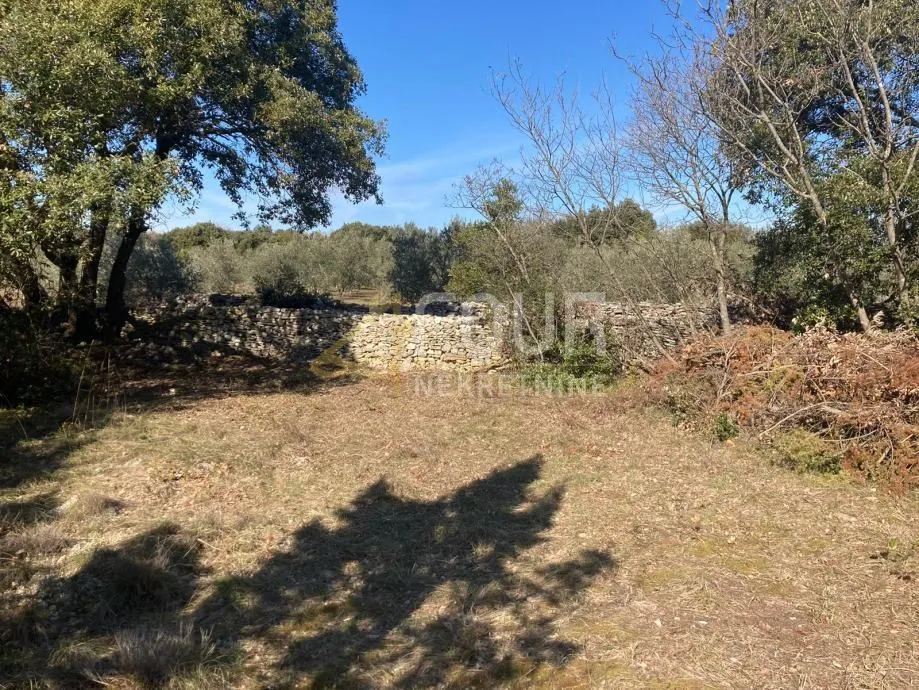 istra, marčana - okolica, poljoprivredno zemljište 629m2 - slika 5