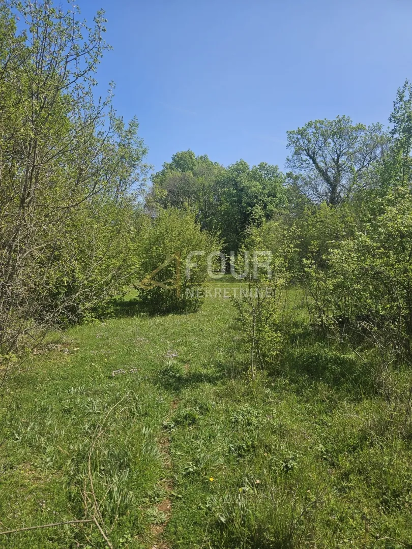 otok krk, dobrinj, poljoprivredno zemljište 2230m2 - slika 7