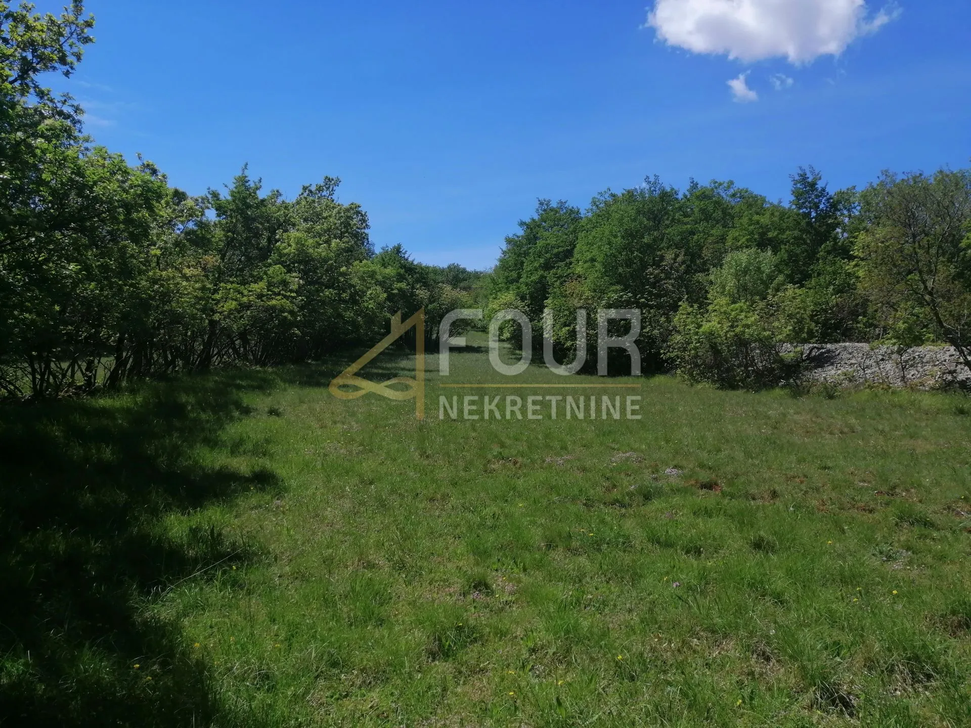 škrljevo, zemljište 9.925m2 - slika 7