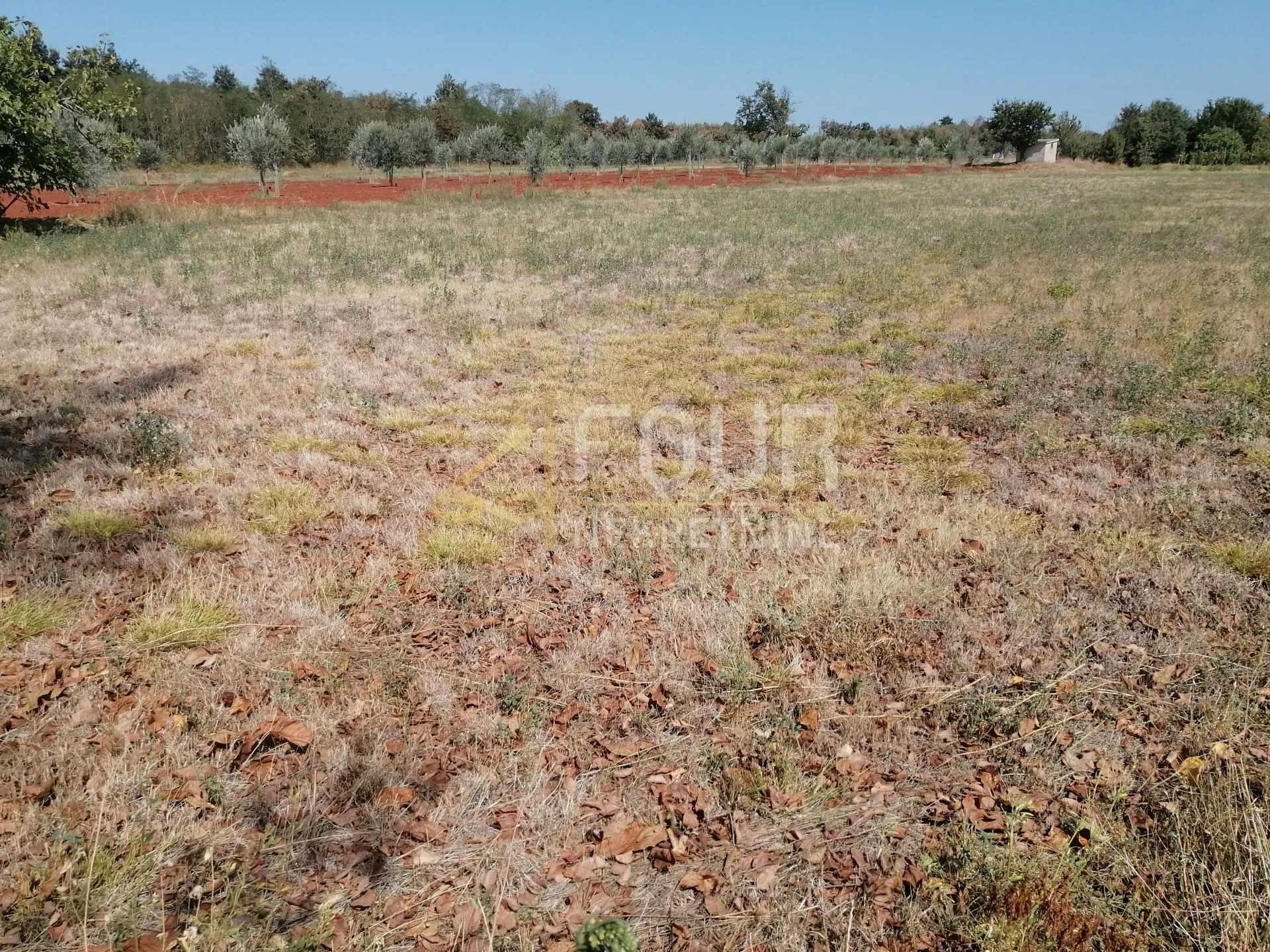 istra, marčana, poljoprivredno zemljište, 500m2 - slika 3