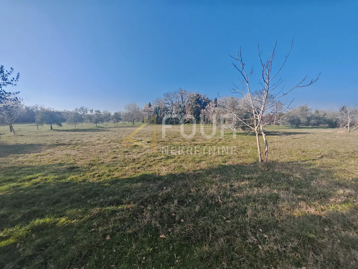 istra, marčana, zemljište 3.045m2 - slika 5