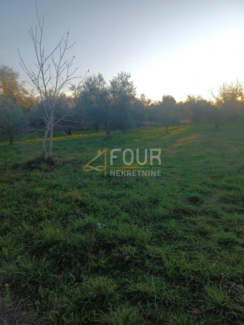 istra, marčana, zemljište 3.045m2 - slika 3