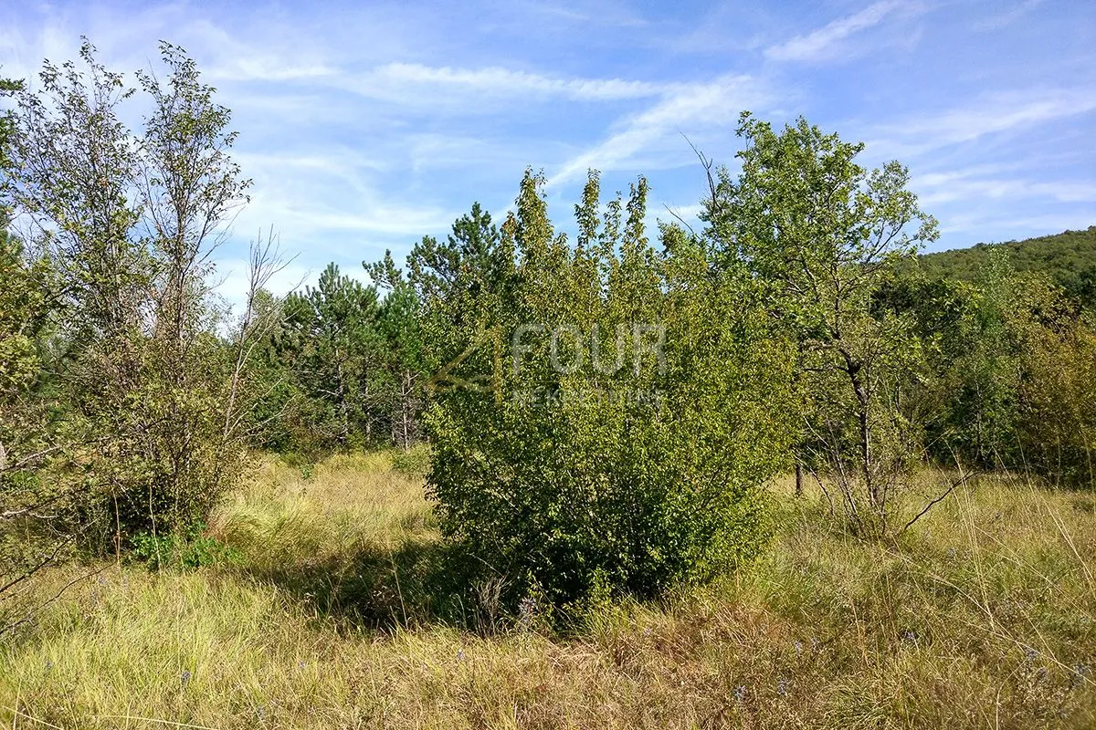 istra, kršan, zemljište 10.091m2 - slika 12