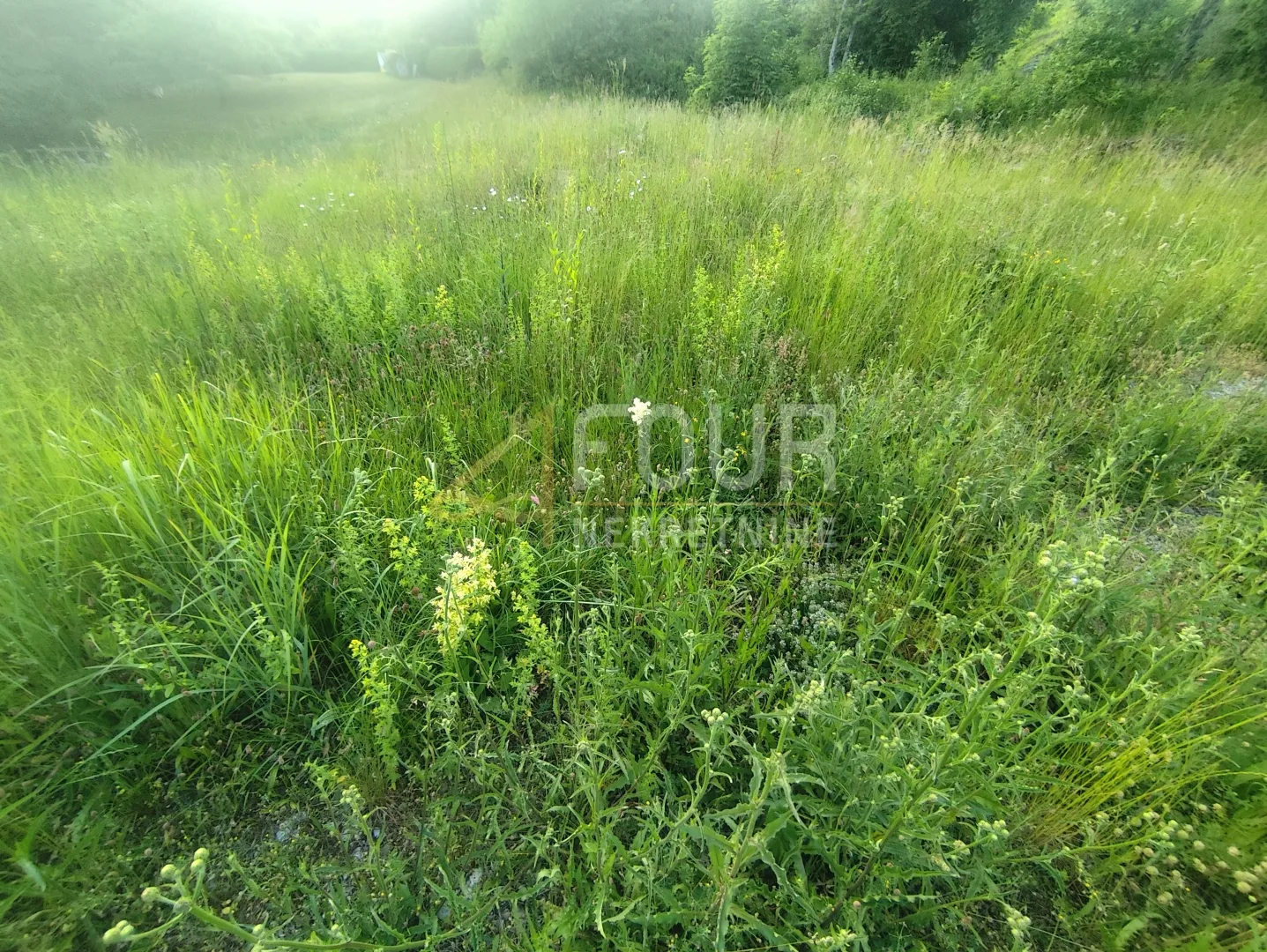 gorski kotar, delnice, građevinsko zemljište 747m2 - slika 6