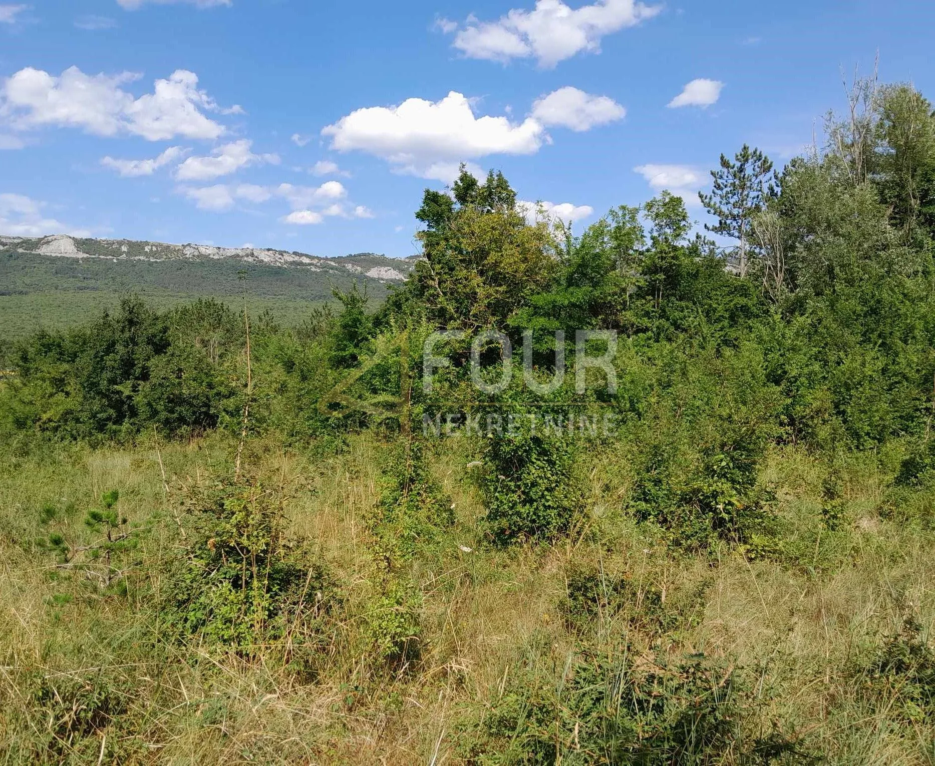 Istra, Buzet, građevinsko zemljište, 1.601m2