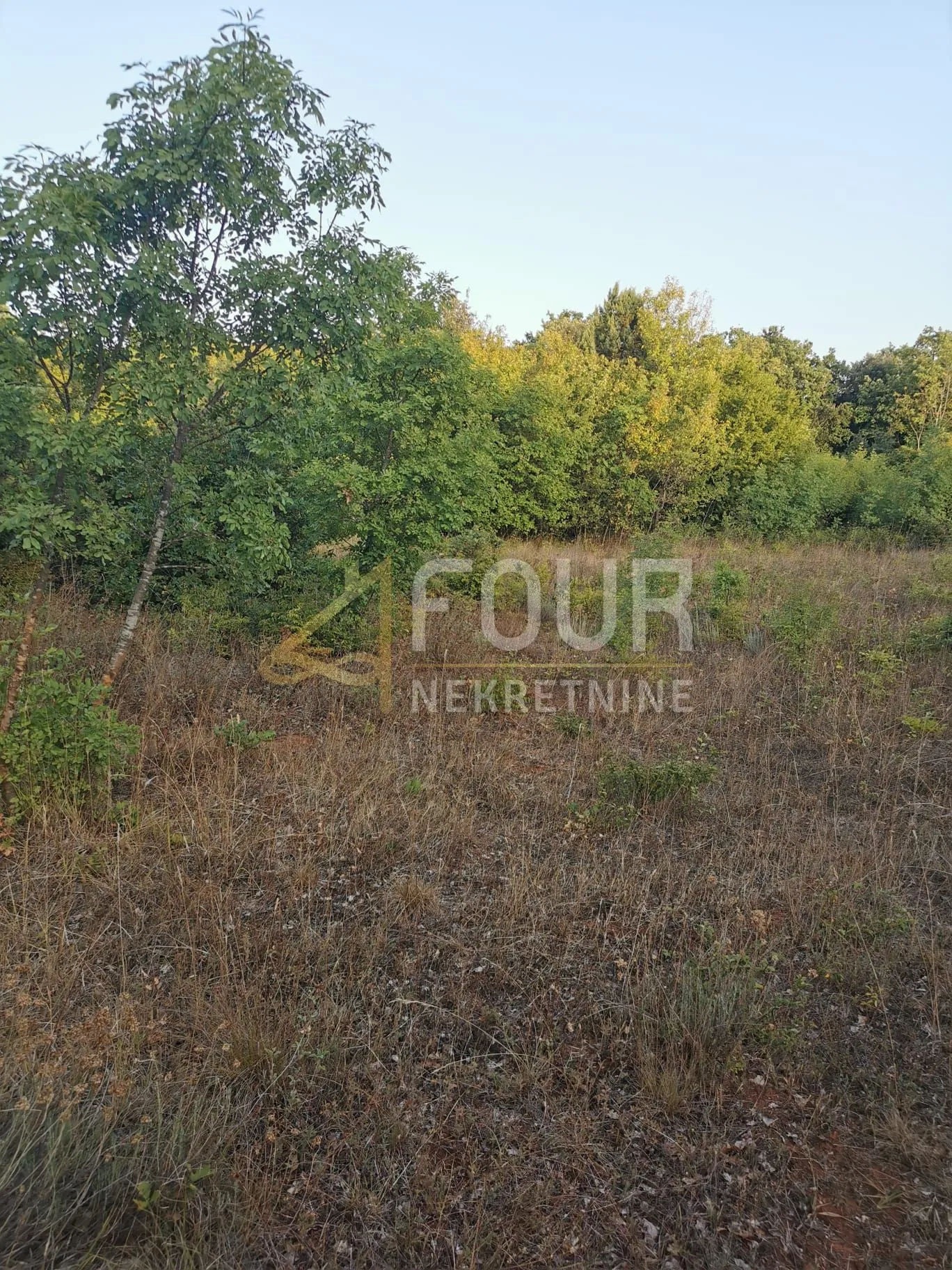 istra, valtura, poljoprivredno zemljište - slika 4
