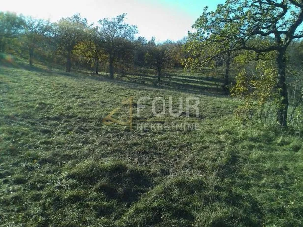 krasica, građevinsko i poljoprivredno zemljište, 7.768m2 - slika 3