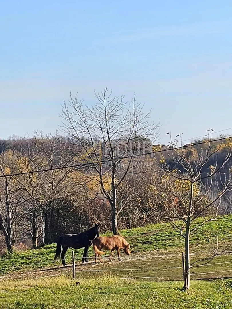 Ozalj - okolica, građevinsko zemljište, 1305m2