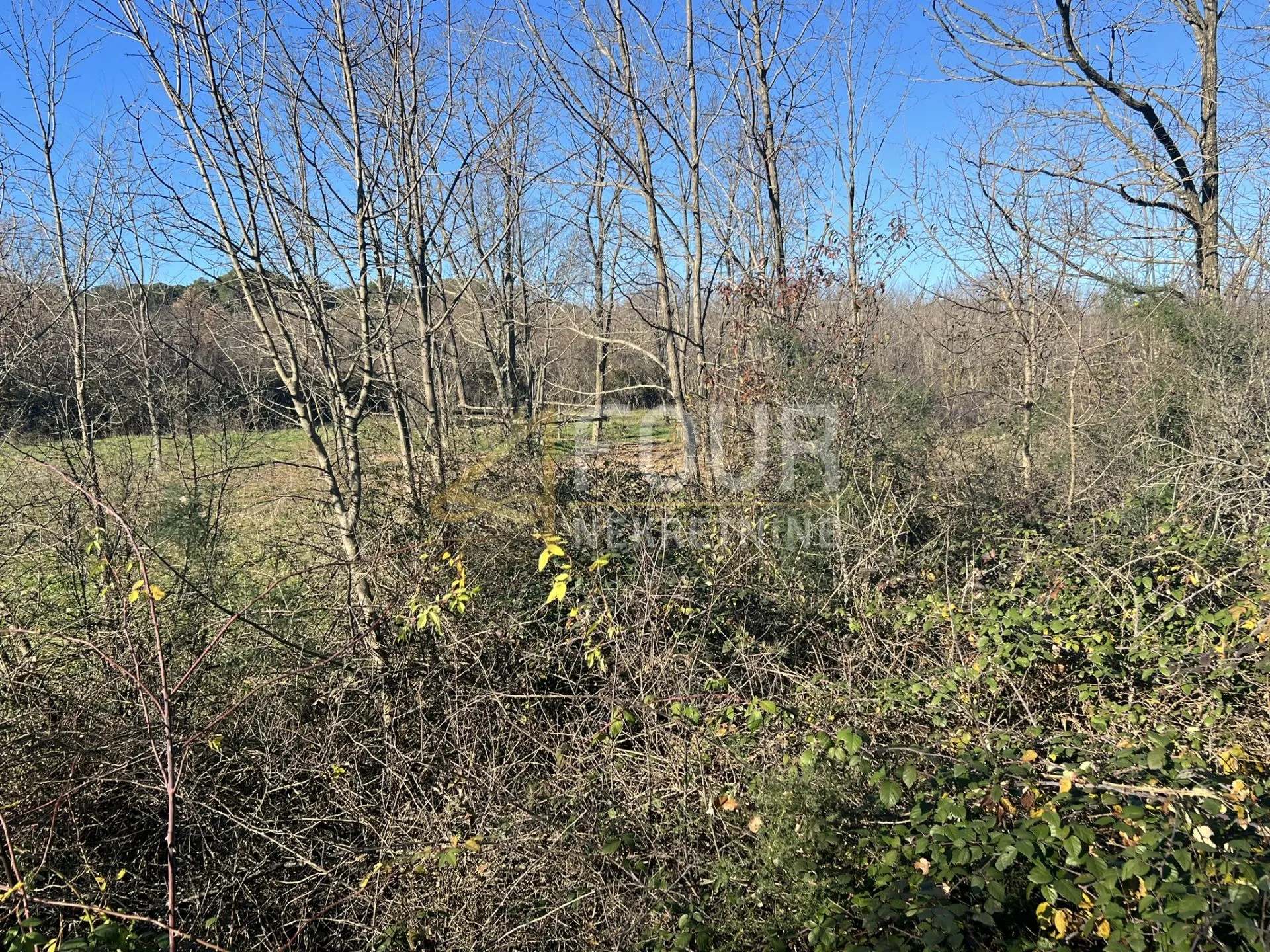 istra, barban, građevinsko zemljište 970m2 - slika 4