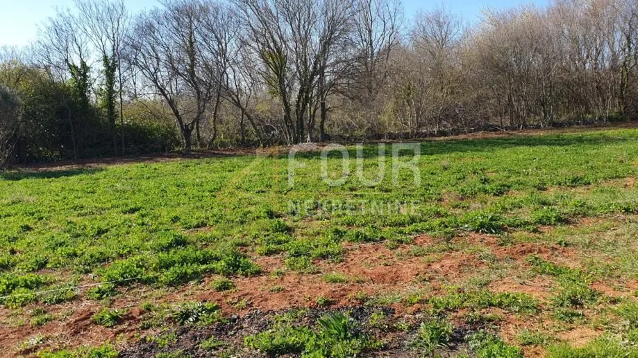 Istra, Vodnjan, poljoprivredno zemljište 399m2