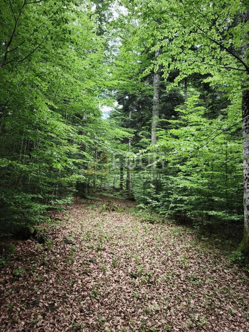 Gorski kotar, Vrbovsko - okolica, poljoprivredno zemljište, 31.323m2 - Nadvučnik, Vrbovsko