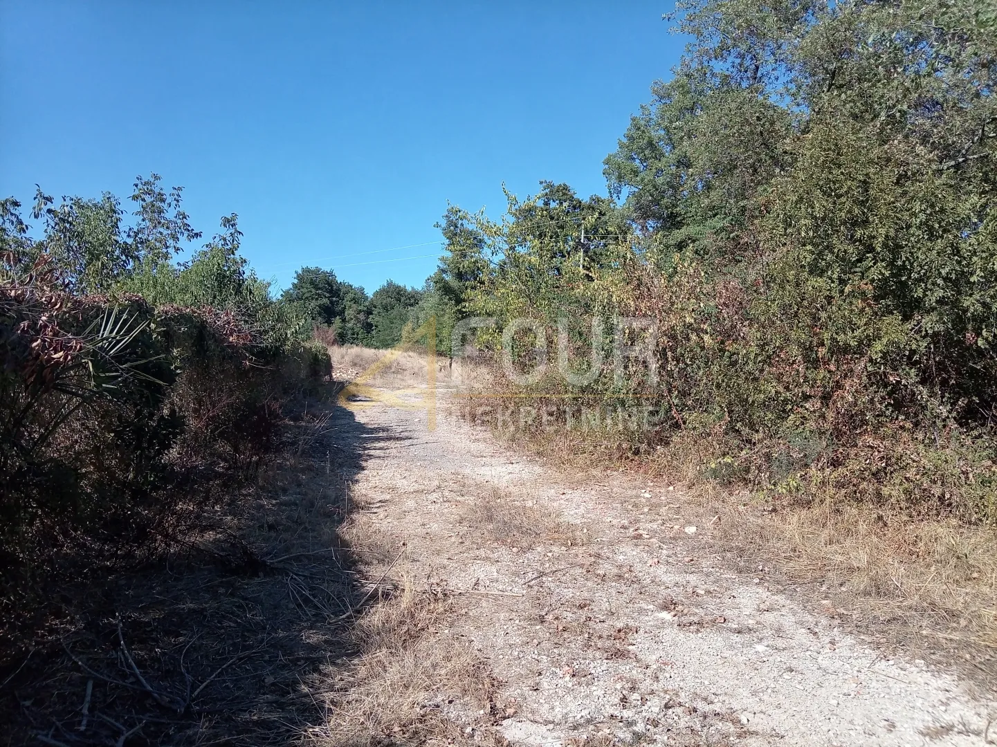 istra, brtonigla, zemljište 5.027m2 - slika 3