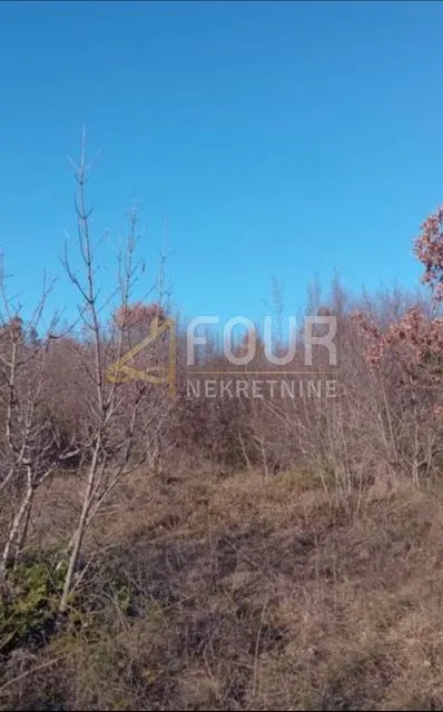 istra, bale, poljoprivredno zemljište 3975m2 - slika 3