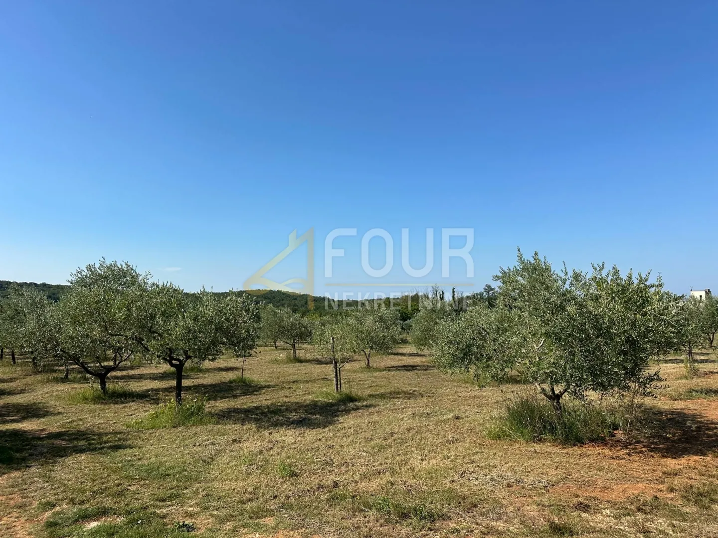 istra, poreč, zemljište 5.716 m2 - slika 7