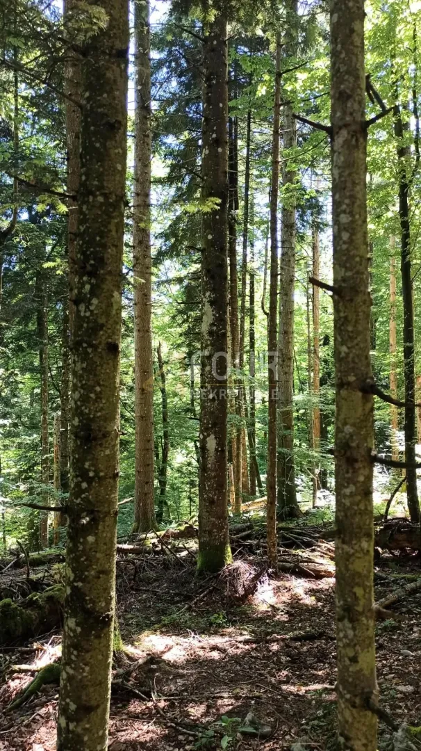 gorski kotar, vrbovsko - okolica, zemljište 17.835m2 - slika 12