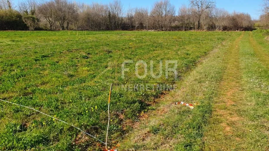 istra, vodnjan, poljoprivredno zemljište 4.385m2 - slika 9