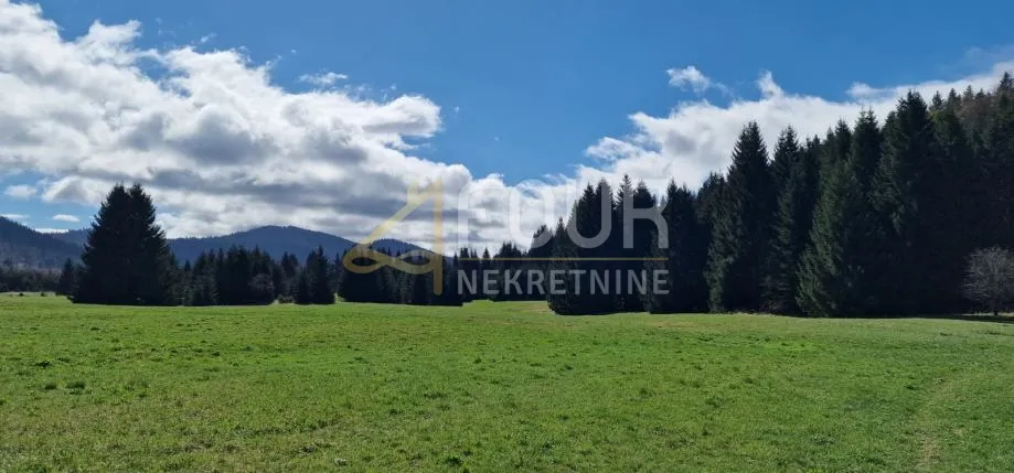 Gorski kotar, Ravna Gora, zemljište 13.494m2