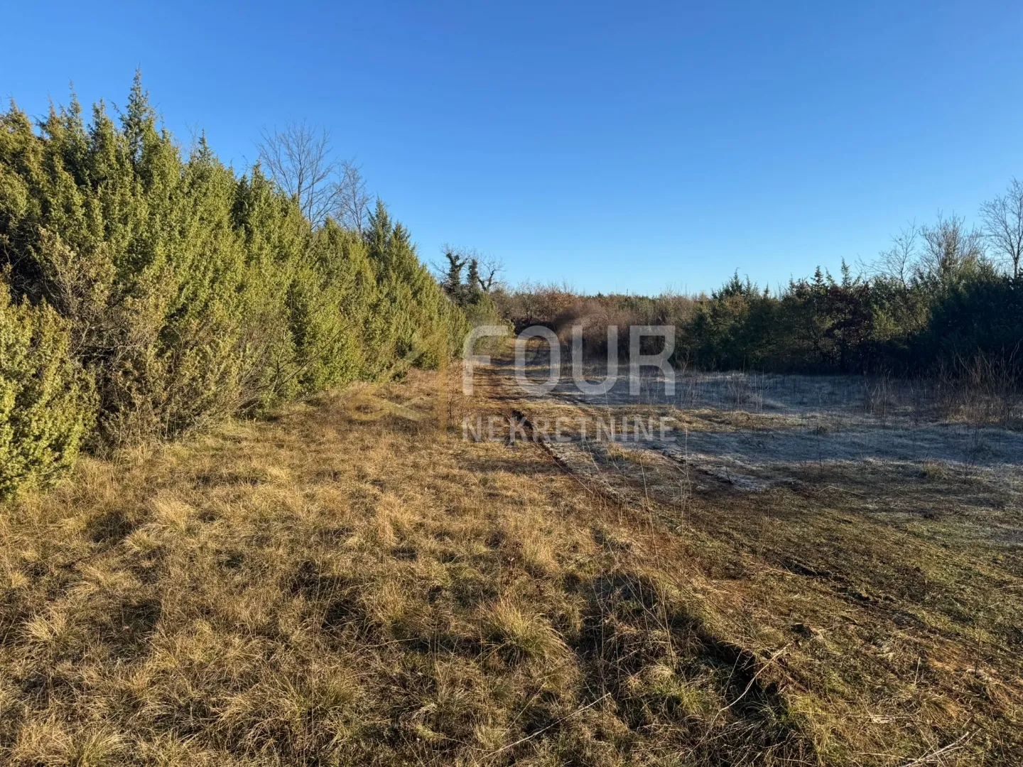 istra, vodnjan, poljoprivredno zemljište, 4.263m2 - slika 3