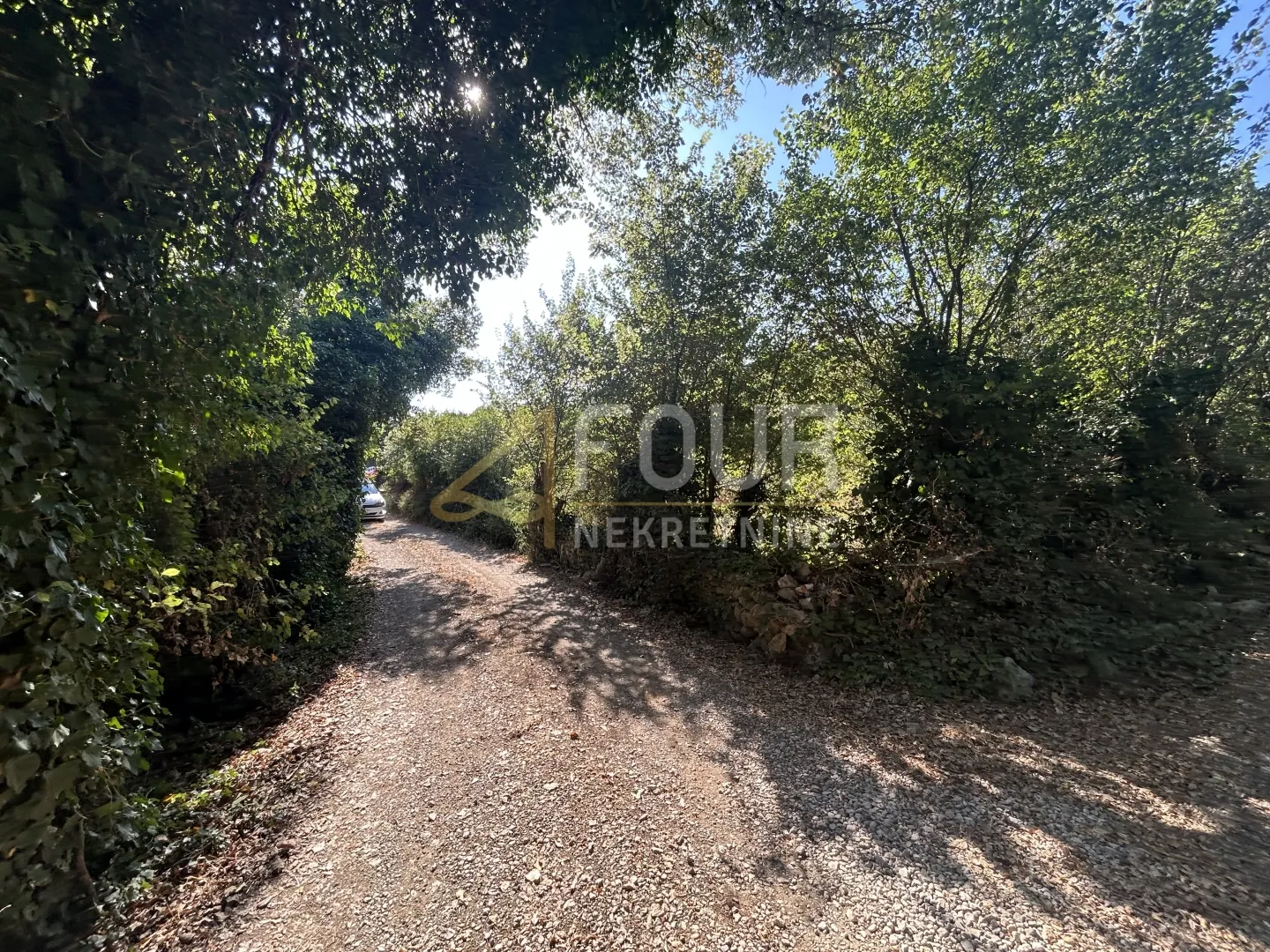 istra, vintijan, 2.500m2, poljoprivredno zemljište - slika 6