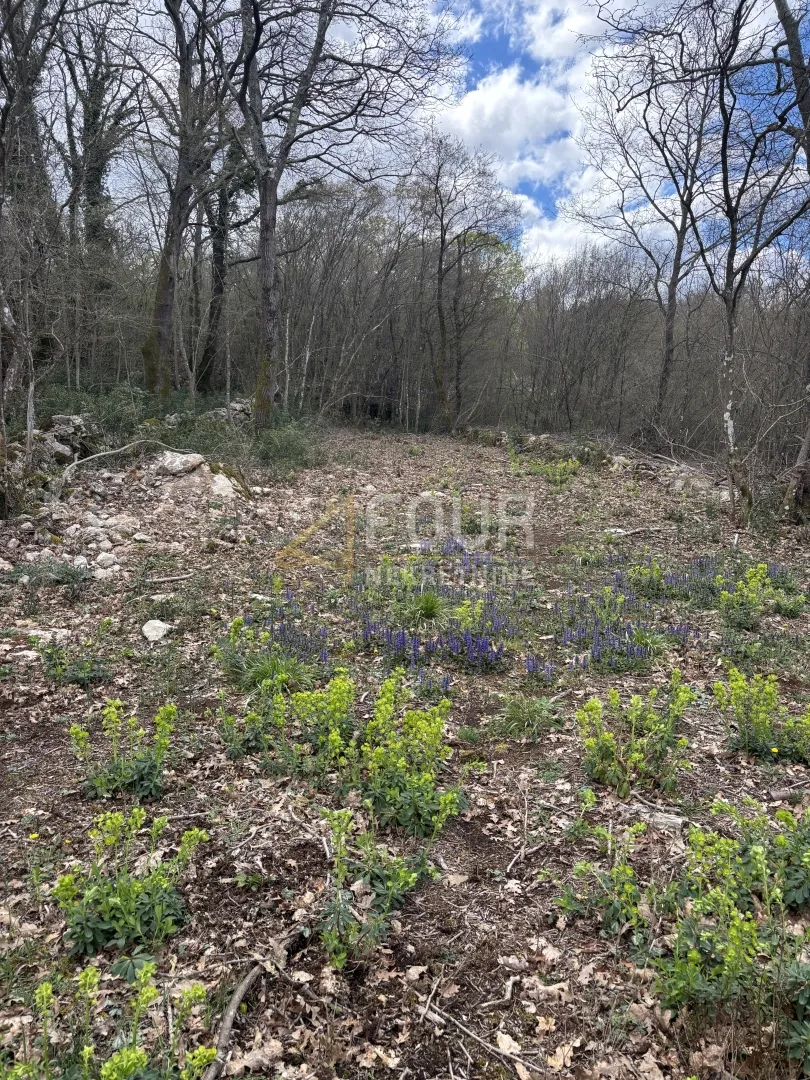 Otok Krk, Njivice, poljoprivredno zemljište, 670m2 - Njivice, Omišalj