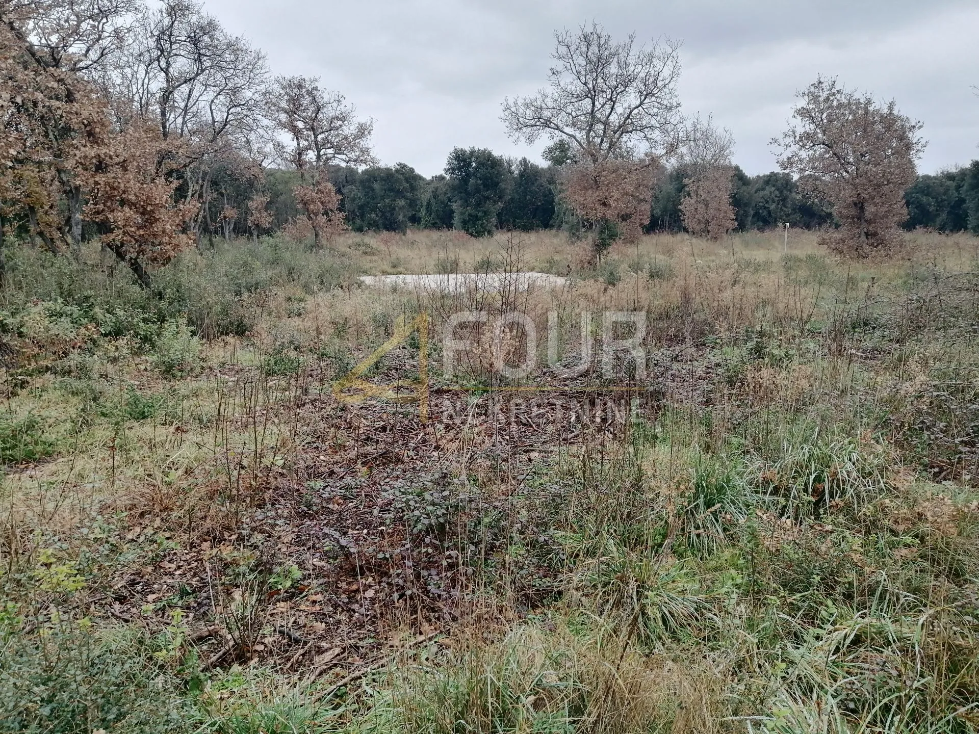 istra, fažana - okolica, poljoprivredno zemljište 625m2 - slika 2