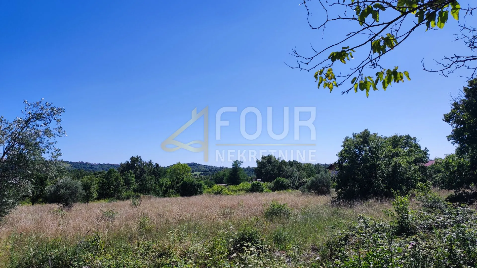 istra, buje, građevinsko zemljište 5.080m2 - slika 2