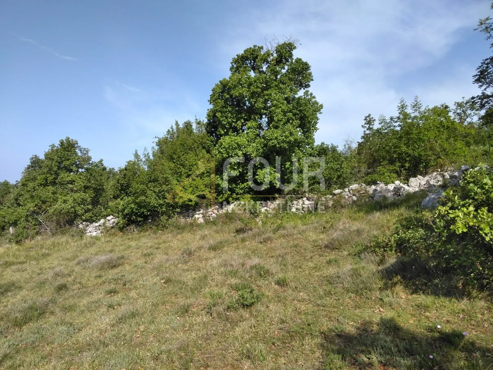 istra, višnjan - okolica, poljoprivredno zemljište 62.710m2 - slika 7