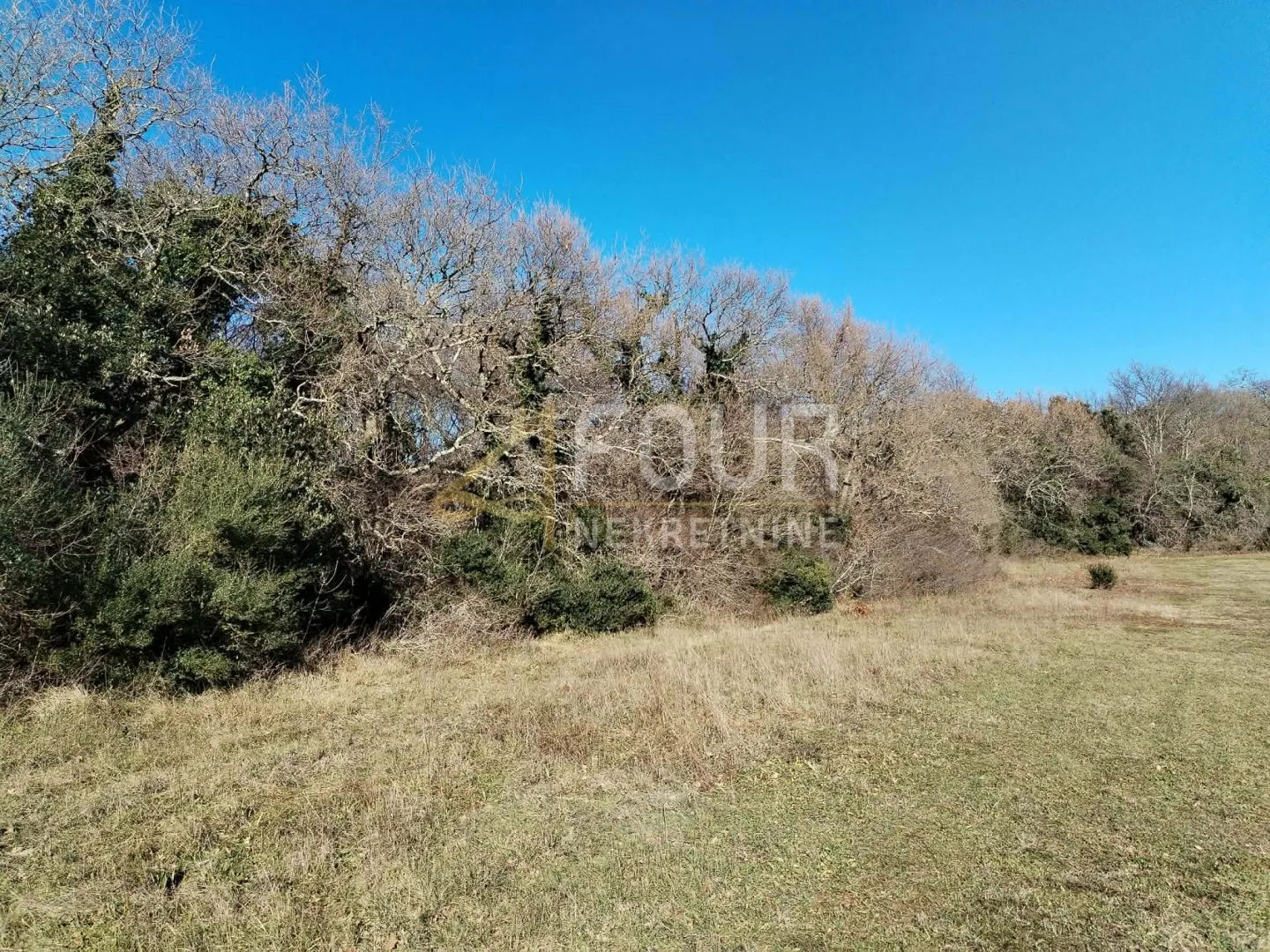 Istra, Valtura, poljoprivredno zemljište 3.376m2 - Valtura, Ližnjan