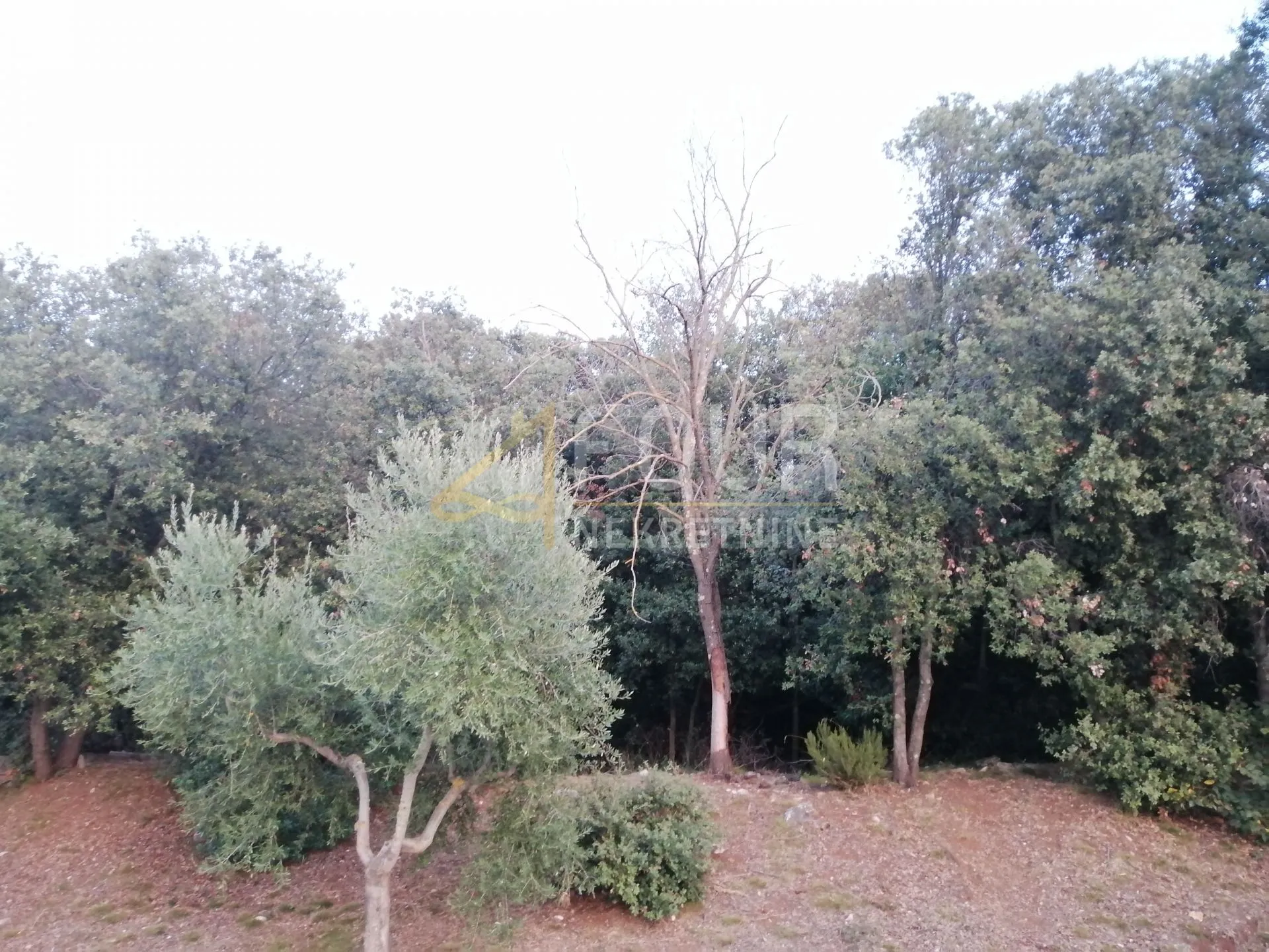 istra, pula - veruda, zemljište 1.553m2 - slika 2