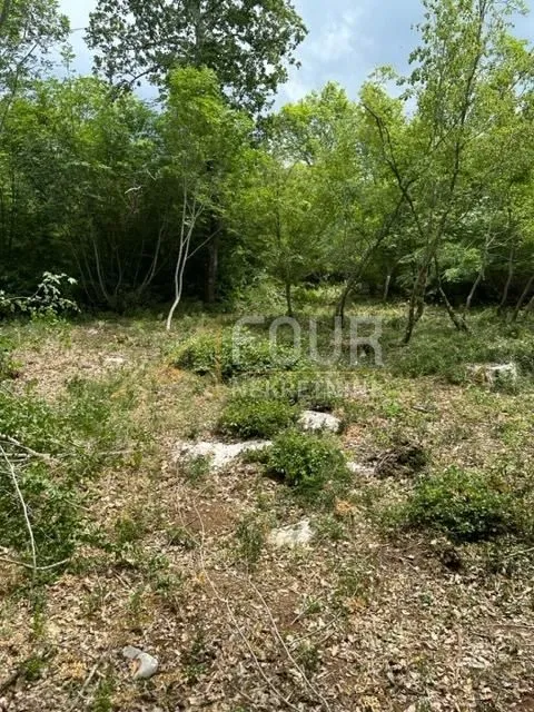 istra, poreč, poljoprivredno zemljište 4.756m2 - slika 2