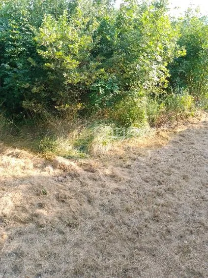 istra, buzet, građevinsko zemljište, 1.441m2 - slika 1
