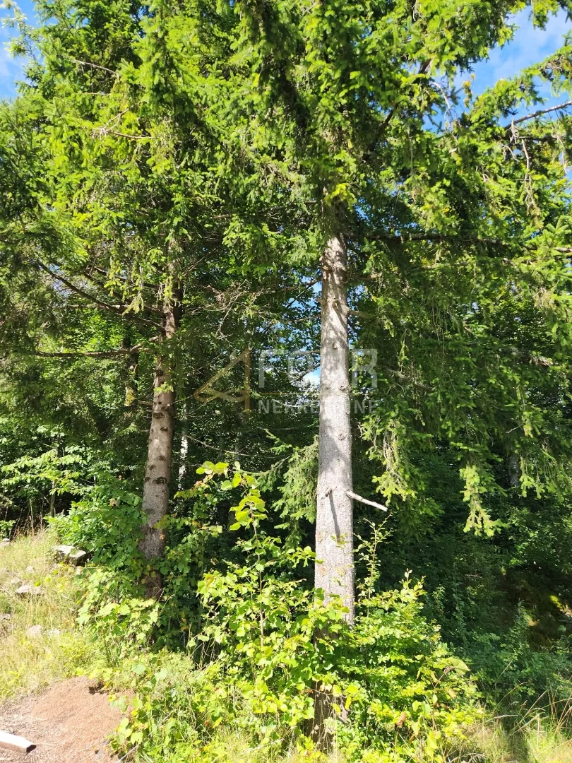 gorski kotar, stari laz, građevinsko zemljište s kamenom starinom - slika 3