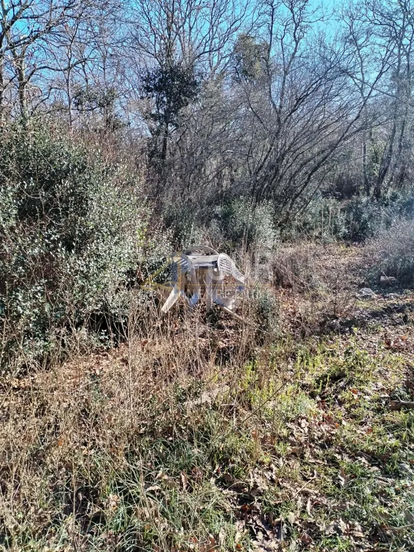 istra, valtura, poljoprivredno zemljište 3.376m2 - slika 4