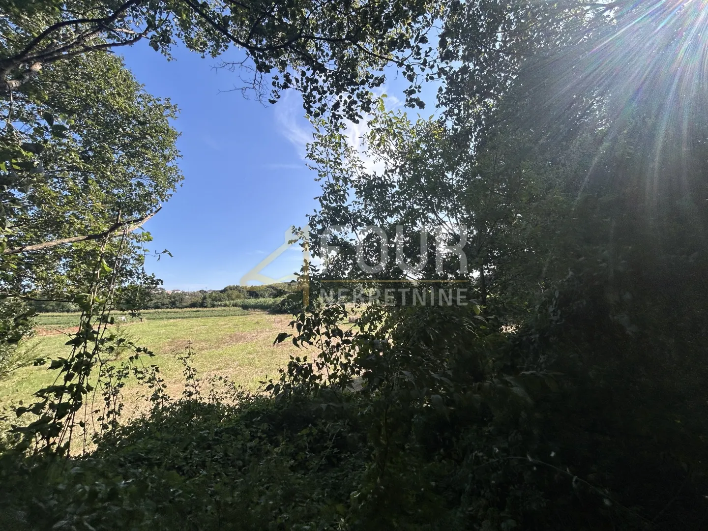 istra, vintijan, 2.500m2, poljoprivredno zemljište - slika 4