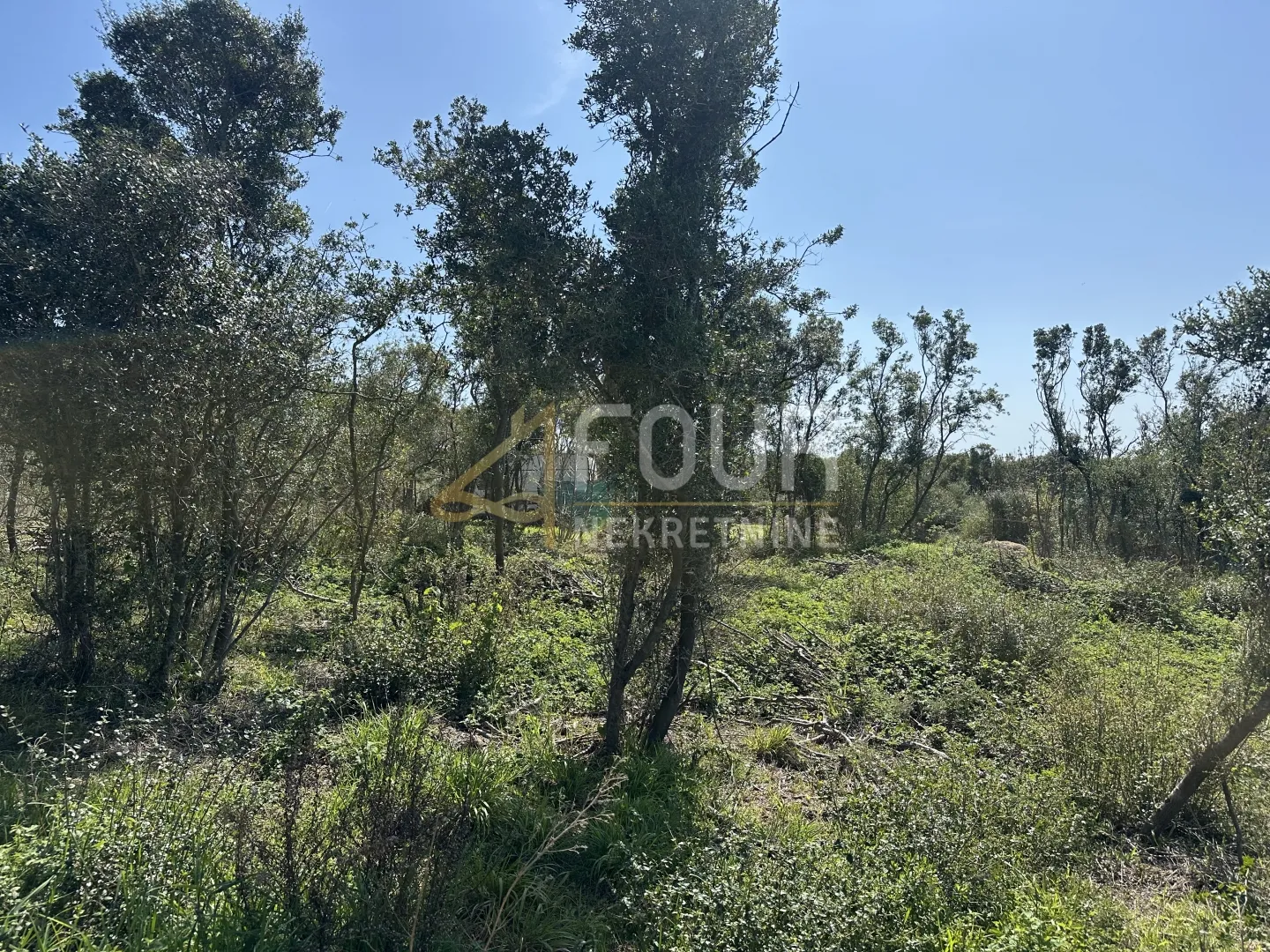 istra, medulin, poljoprivredno zemljište 401m2 - slika 2