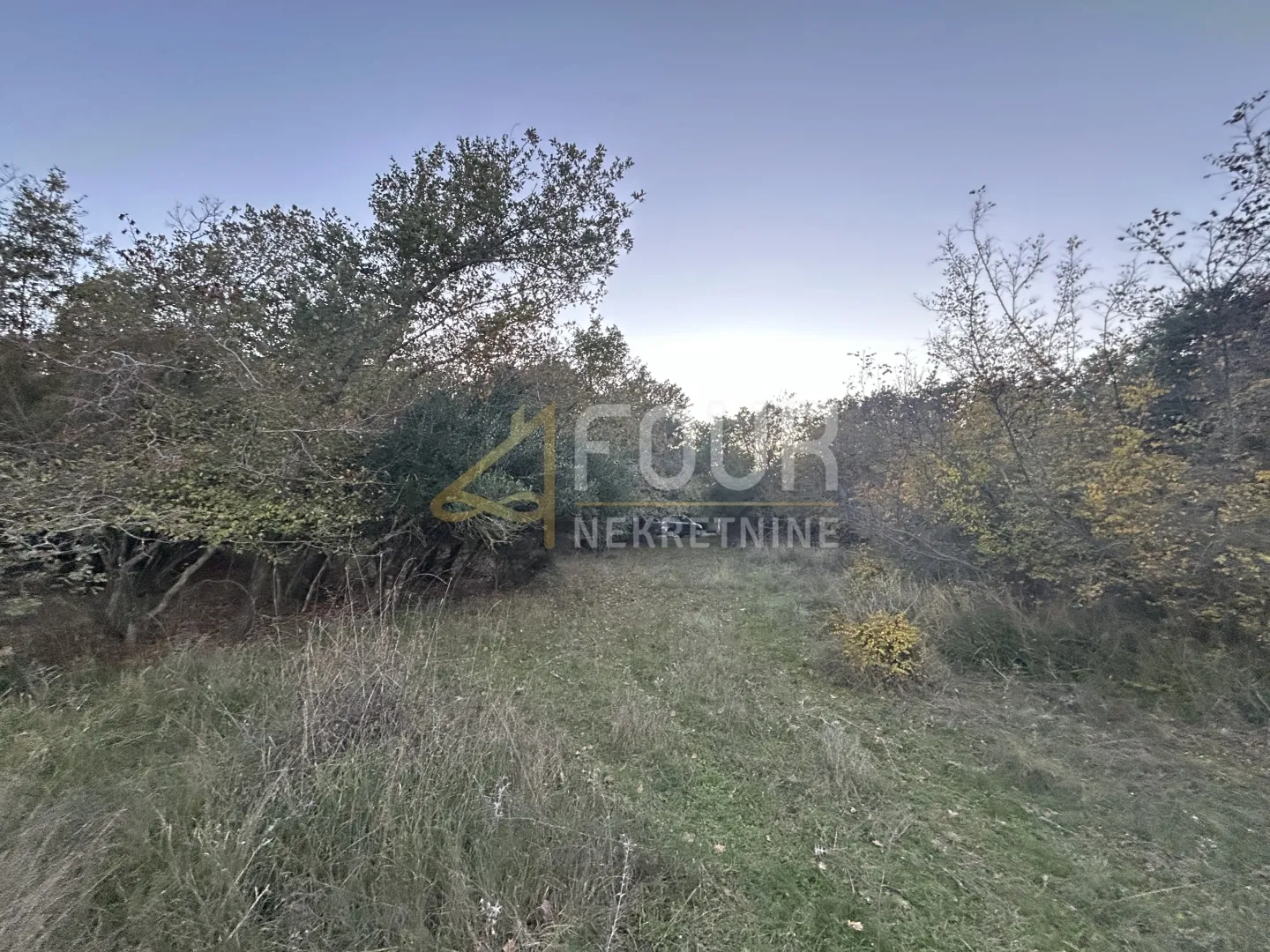 Istra, Pula - Veli Vrh, poljoprivredno zemljište 4.983m2