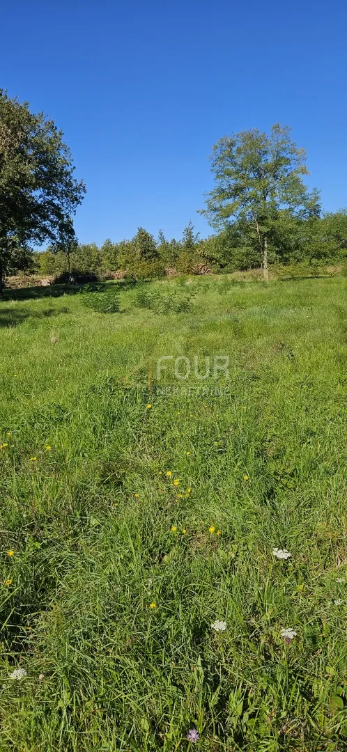 istra, poreč, građevinsko zemljište, 1.350m2, pogled na more - slika 4
