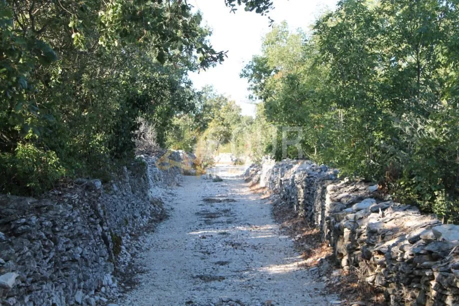 istra, galižana, poljoprivredno zemljište 571m2 - slika 6
