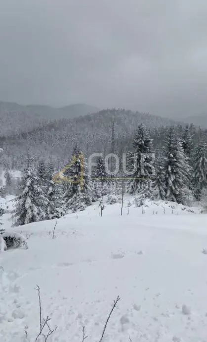 Gorski kotar, Stari Laz, zemljište s građ. dozvolom i projektom za kuću - Stari Laz, Ravna Gora