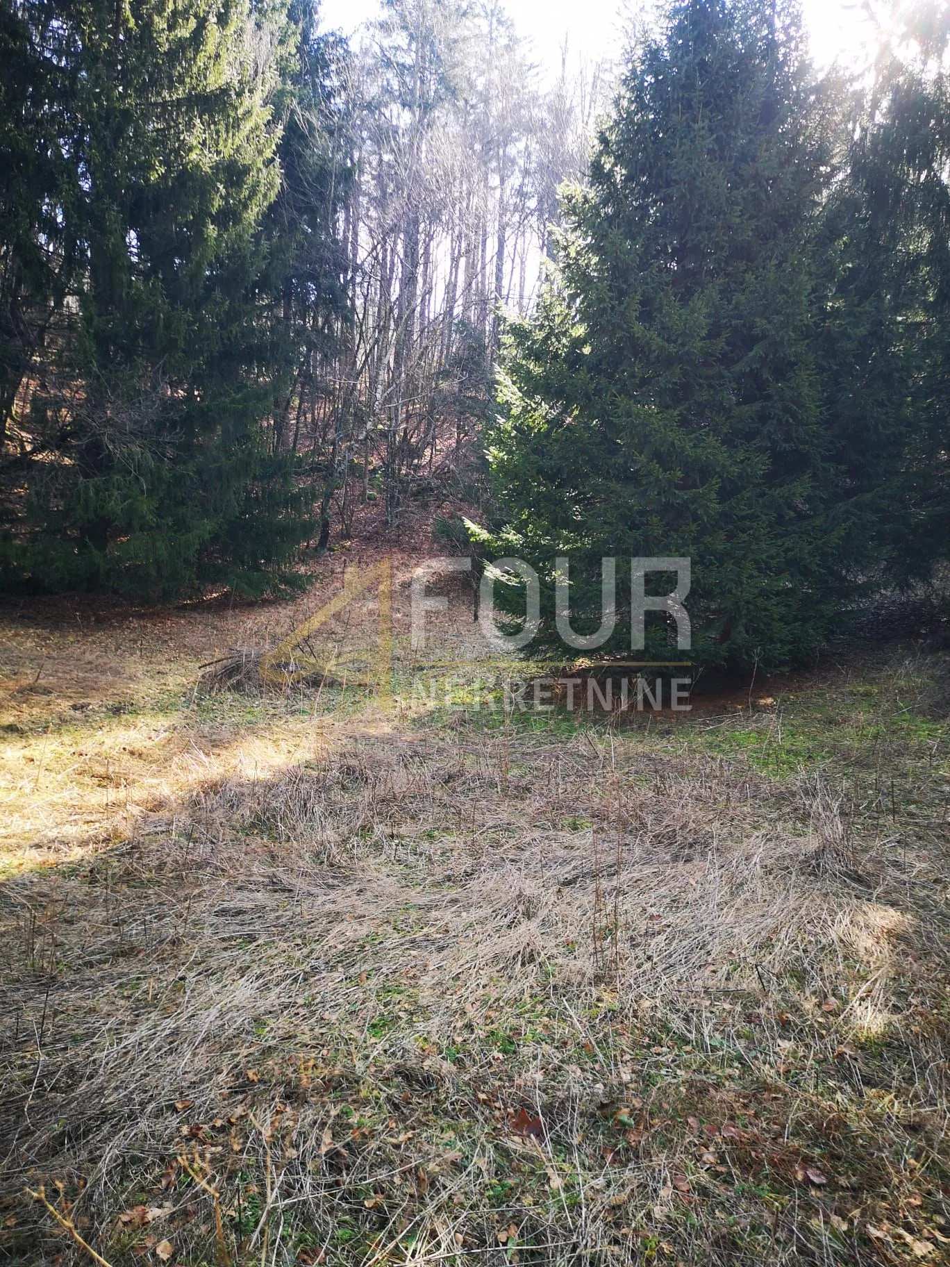 gorski kotar, lokve, poljoprivredno zemljište 22.210m2 - slika 6
