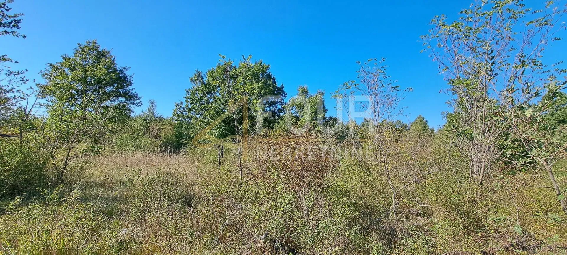 Istra, Poreč - okolica, poljoprivredno zemljište, 27.086m2
