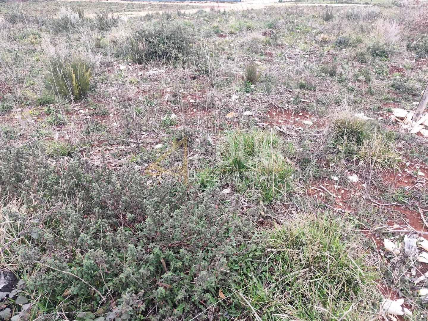 istra, vodnjan - okolica, peroj, poljoprivredno zemljište, 454m2 - slika 2